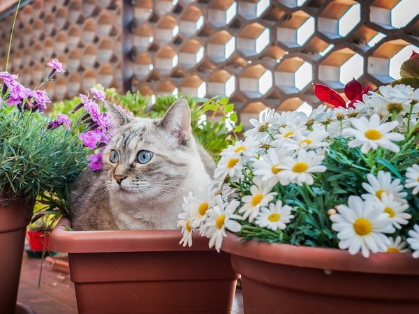 How to Create a Cozy Home to Watch Out for This Year