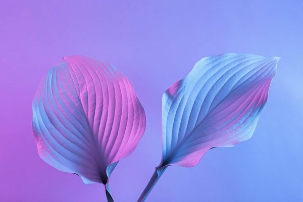 How to Improve Your Game Shaping the Future of the Industry